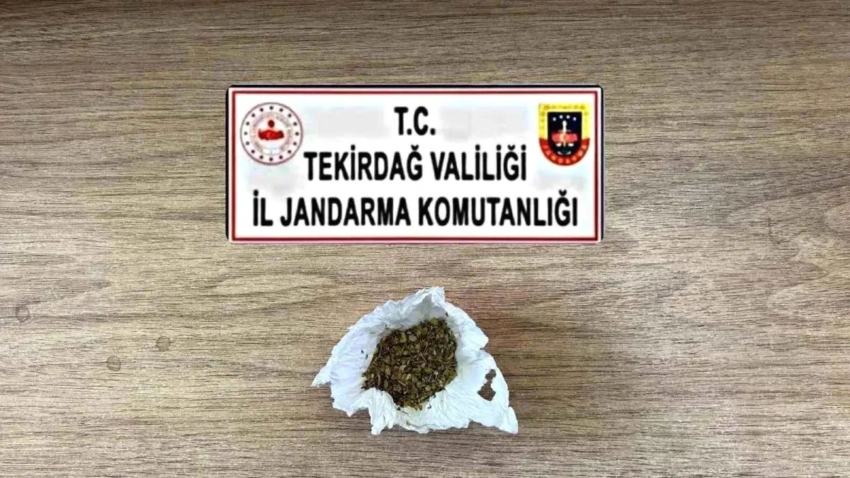 Tekirdağ\'da Uyuşturucu ve Silah Operasyonu