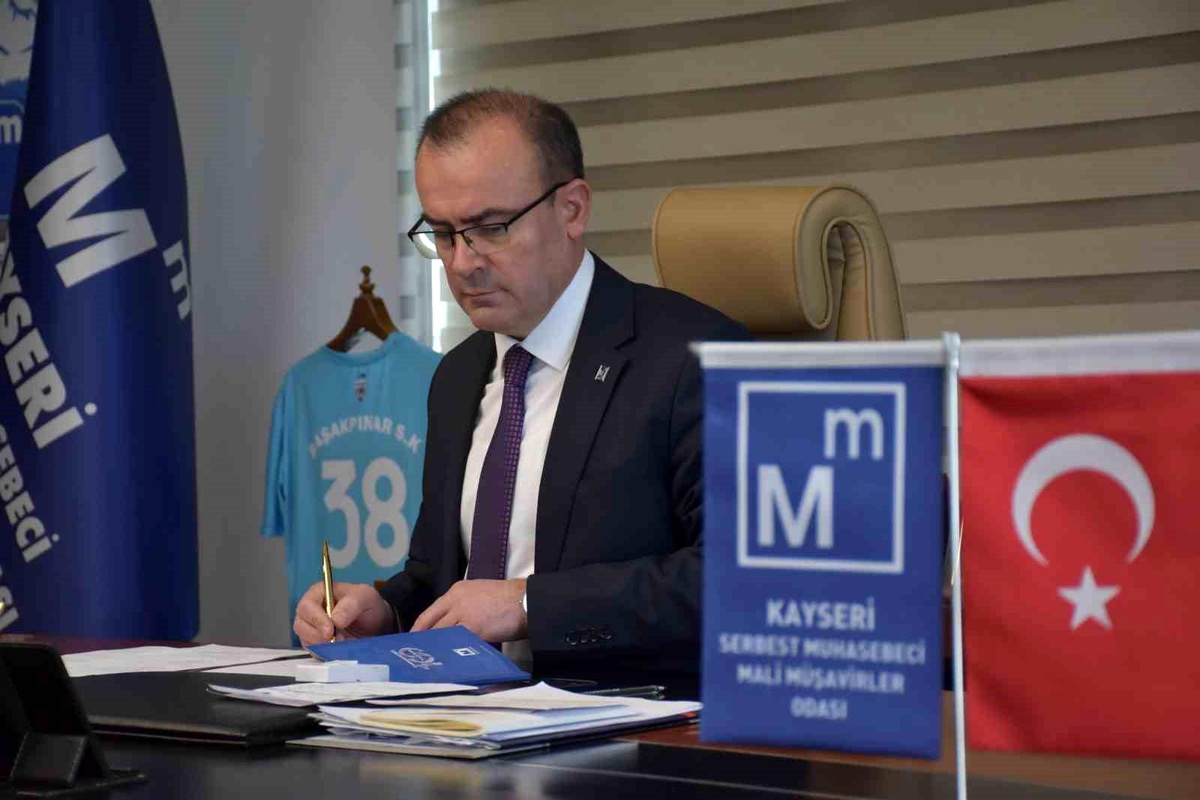 Mali Müşavirlerin Sorunları ve Çözüm Önerileri