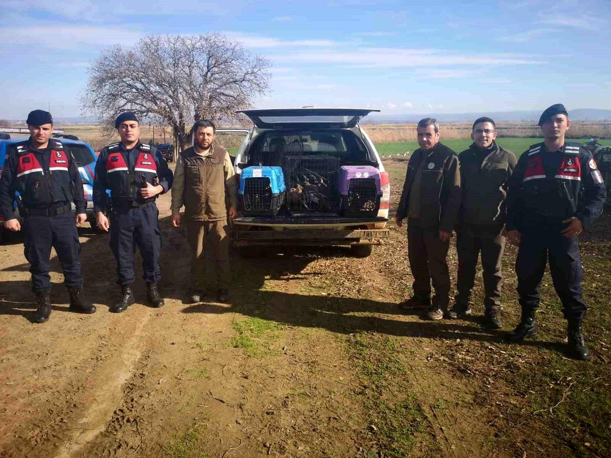 Çanakkale\'de Kaçak Av Operasyonu