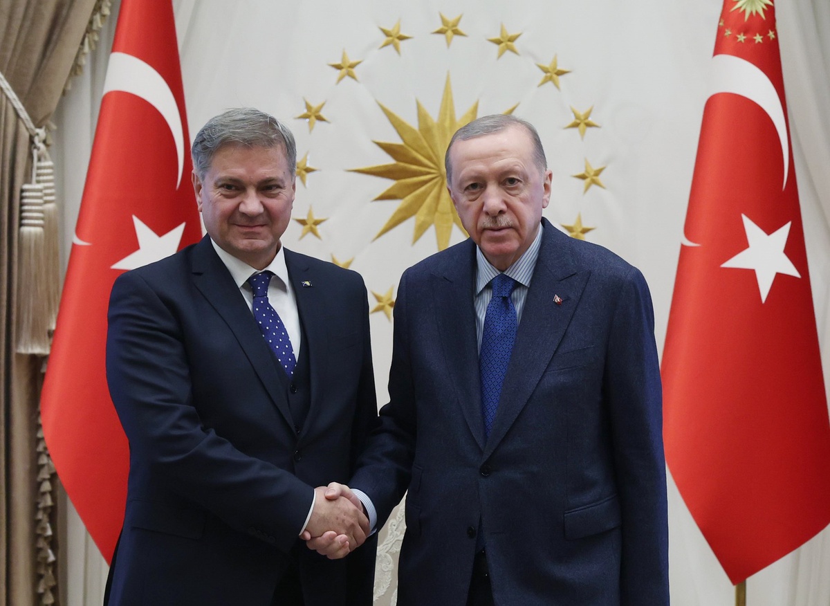 Cumhurbaşkanı Erdoğan, Bosna Hersek Temsilciler Meclisi Başkanı Zvizdic\'i kabul etti