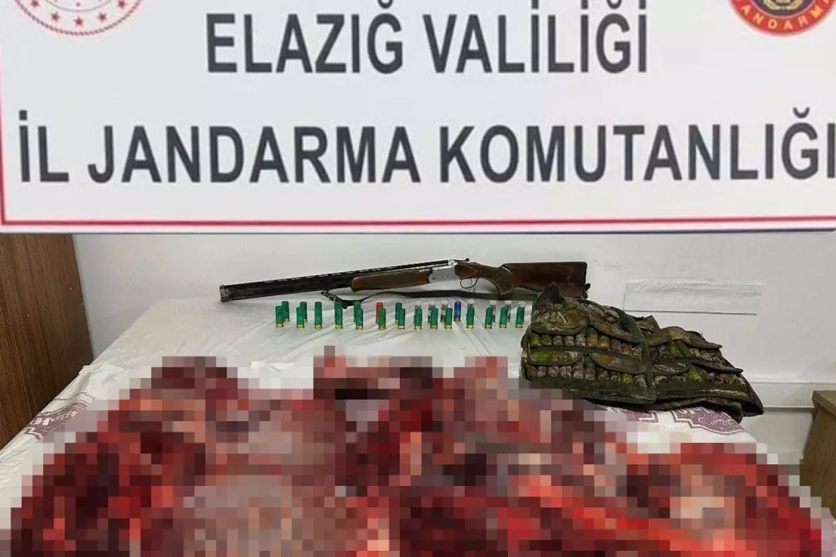 Yasak Dağ Keçisini Avlandı