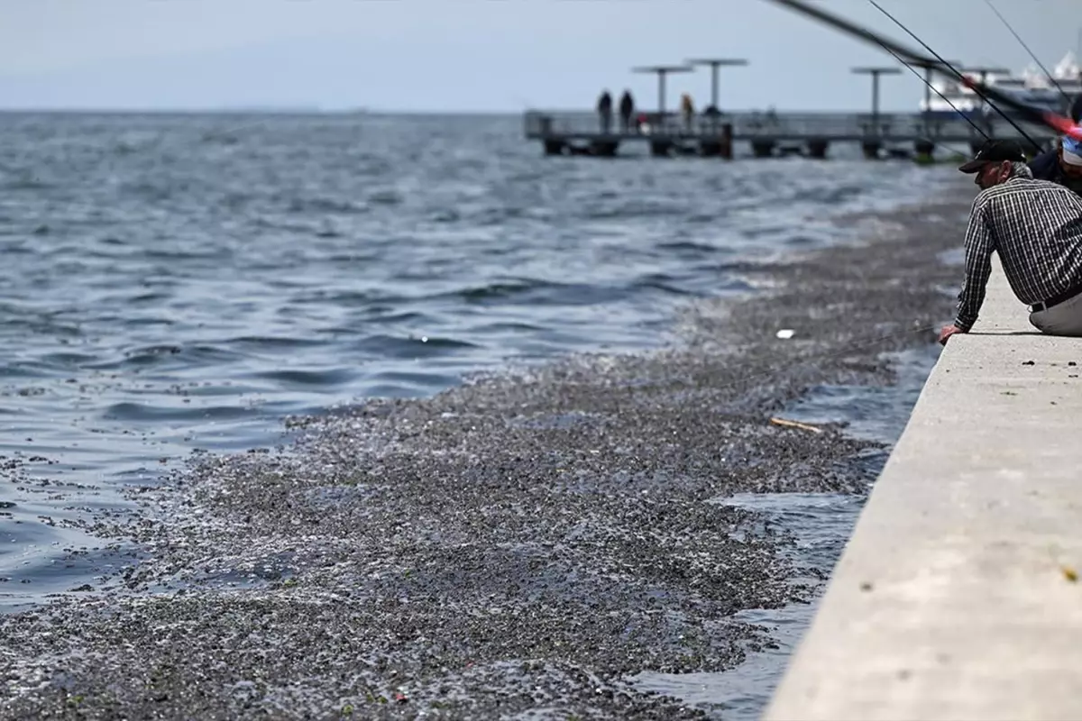 Savcılık İzmir Körfezi\'ndeki kirliliğin sorumluları hakkında harekete geçti