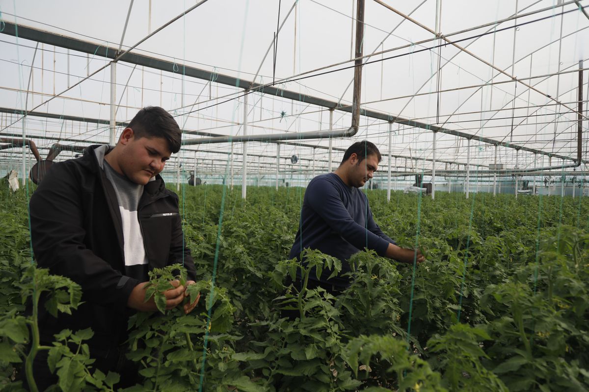 Suriyeli İşçiler Antalya\'dan Ülkelerine Dönmeyi Planlıyor