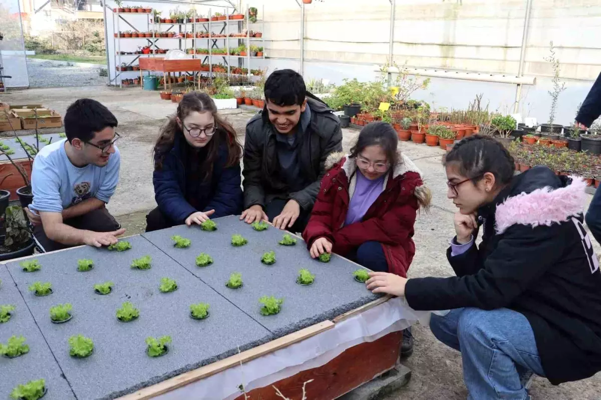 Ordu\'da Biyoinovasyon Merkezi ile Ata Tohumları Korunuyor