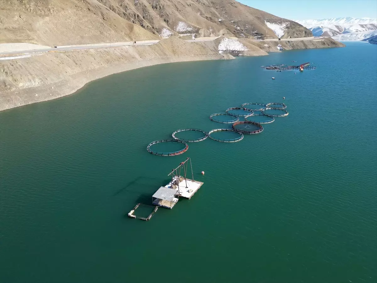 Van\'da Alabalık Üretimi Artıyor