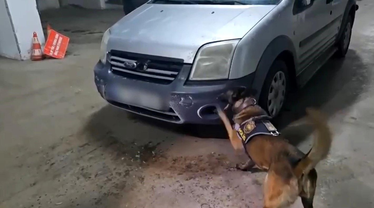 Kars\'ta Uyuşturucu Operasyonu