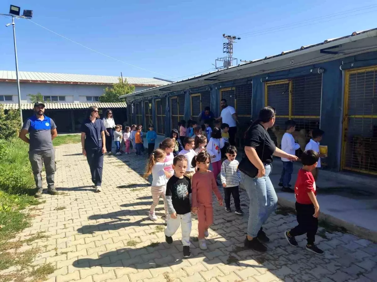 Kreş Öğrencileri Sokak Hayvanlarıyla Buluştu