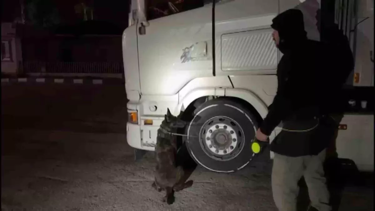Tırda Uyuşturucu Yakalandı