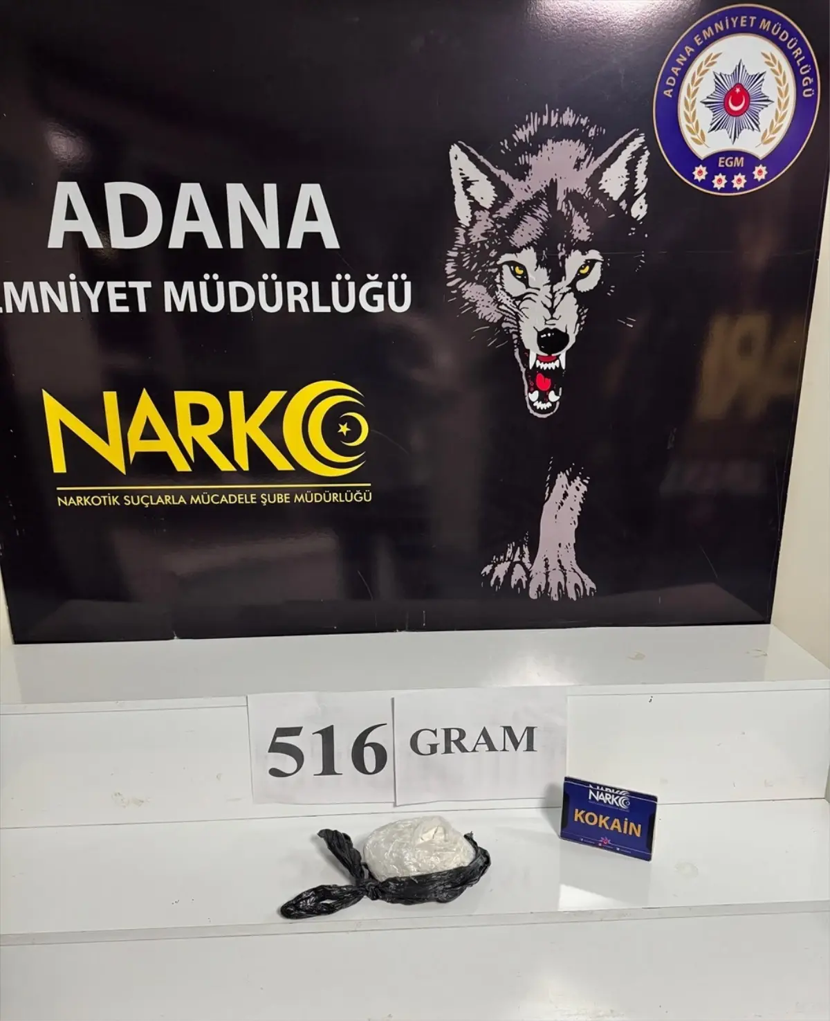 Adana\'da Tırda 516 Gram Kokain Ele Geçirildi