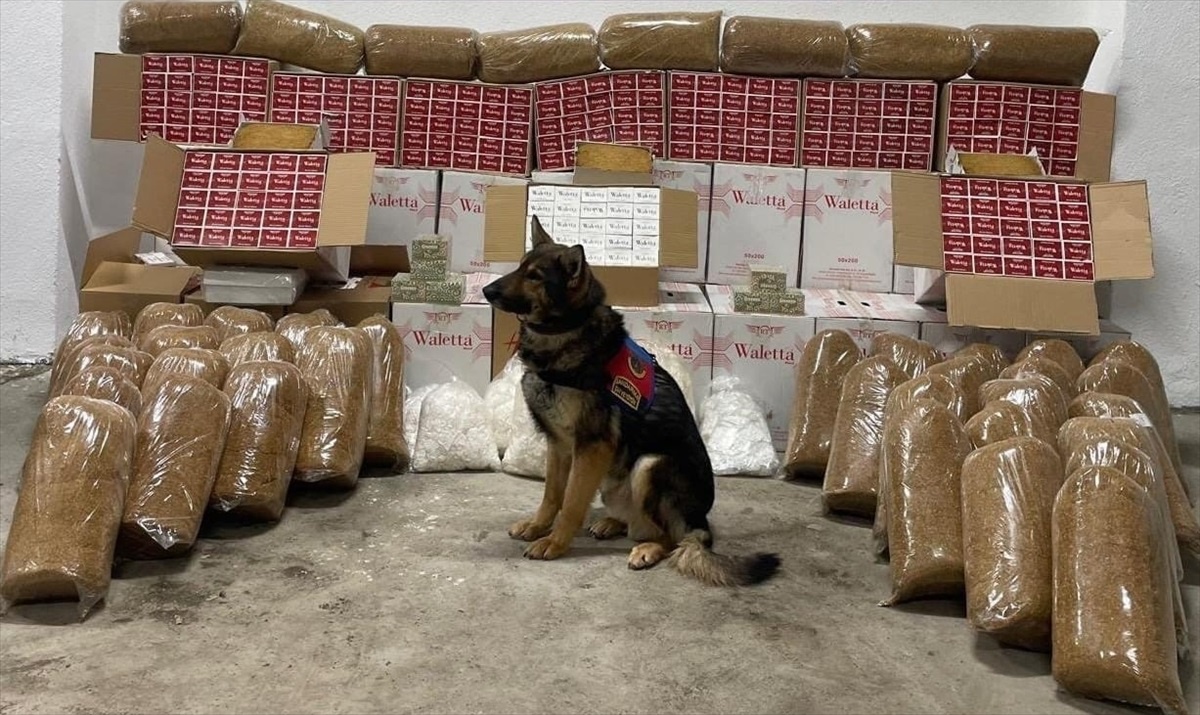 Erzurum\'da 210 Kilo Kaçak Tütün Ele Geçirildi