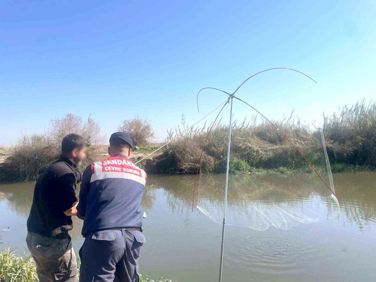 Mersin\'de Yasak Avcılık Operasyonu