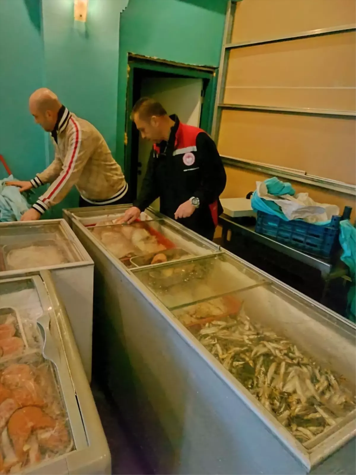 İzmir\'de Kaçak Et ve Balık Ele Geçirildi