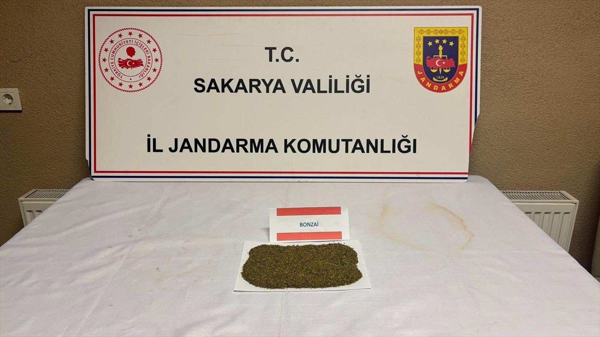 Sakarya\'da Uyuşturucu Operasyonu: 3 Tutuklama