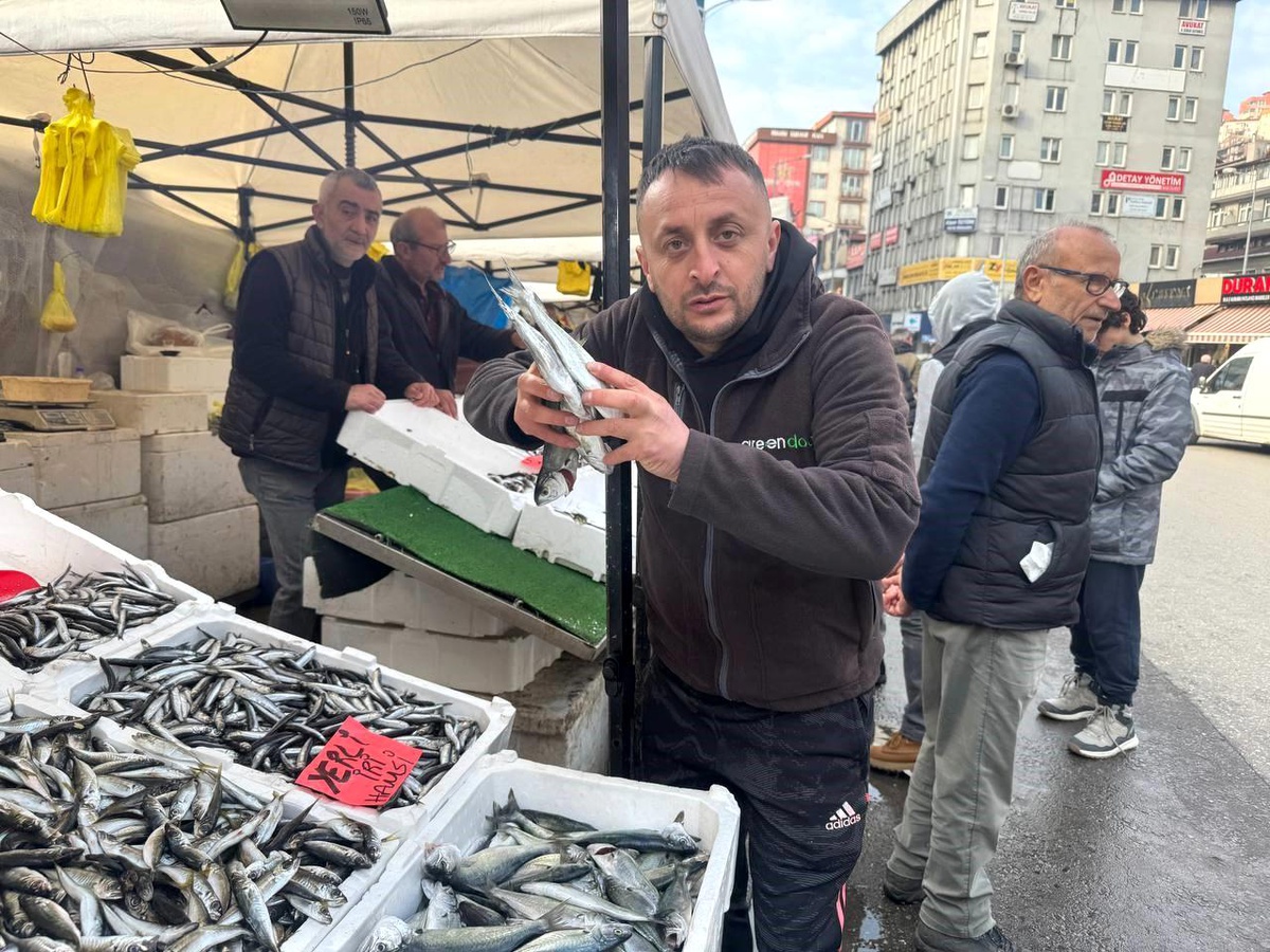 Zonguldak\'ta İstavrit Fırtınası!