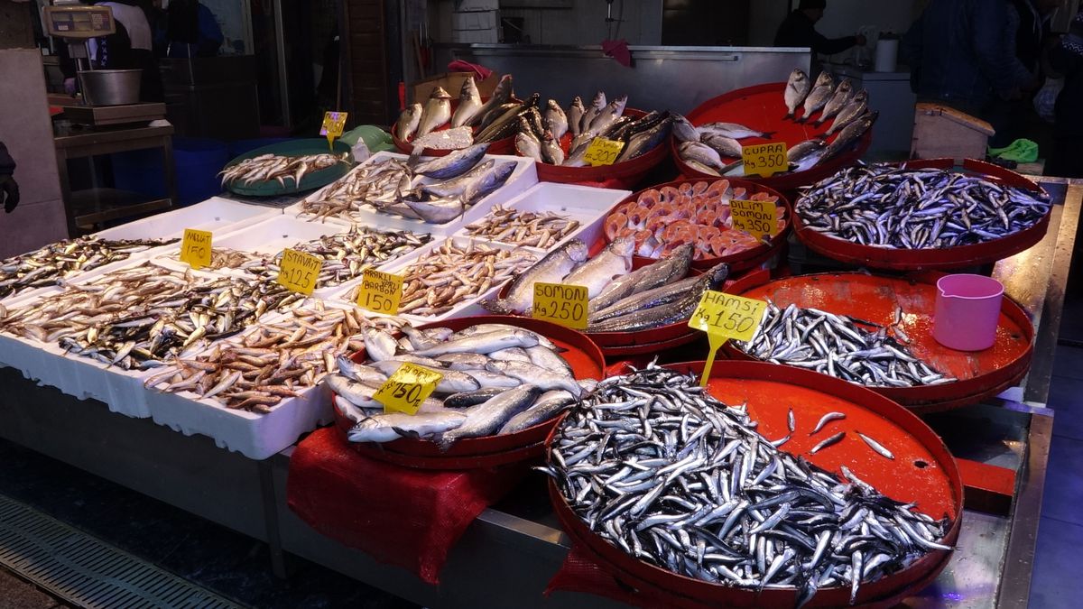 Trabzon Balık Tezgahlarında Çeşitlilik, Palamut Devri Son Buldu