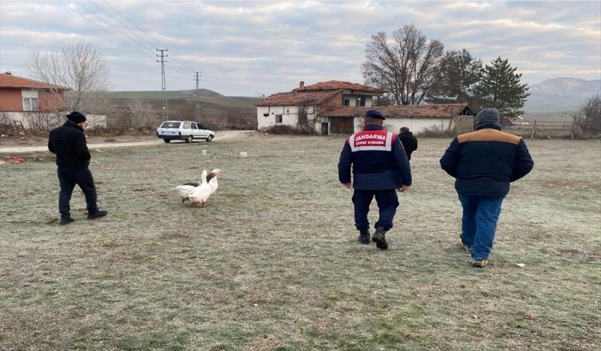 Kaz Dövüşüne 72 Bin TL Ceza
