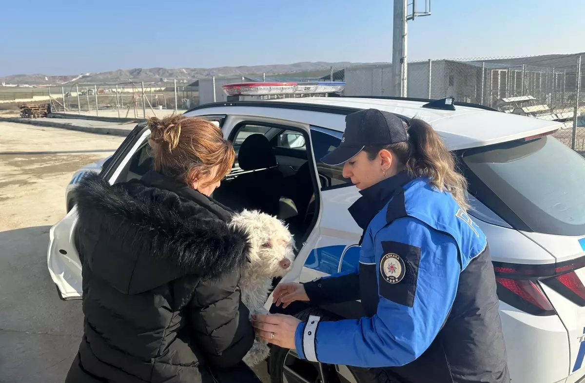 Akif Ayaz Tutuklandı