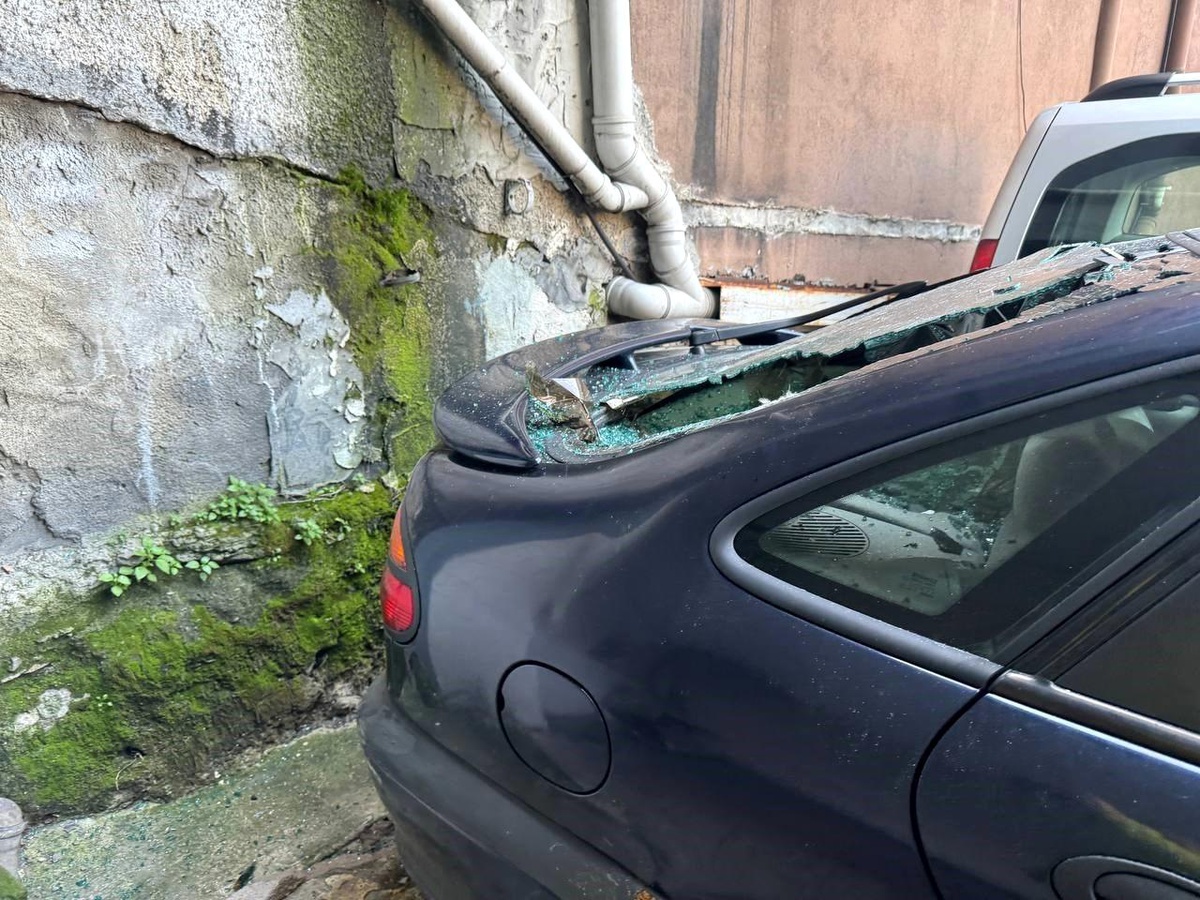 Zonguldak\'ta Balkon Köpeği Araca Düştü