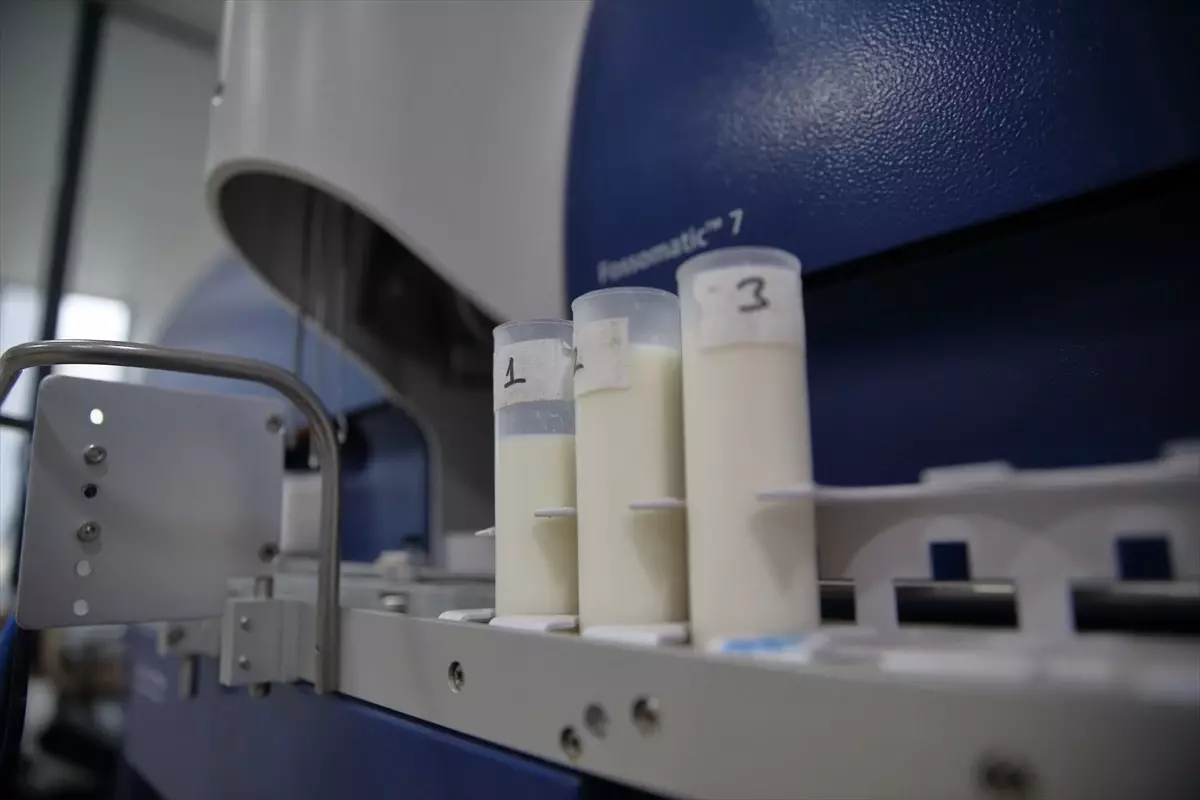 Çorum\'da Süt Üretimi İki Katına Çıktı