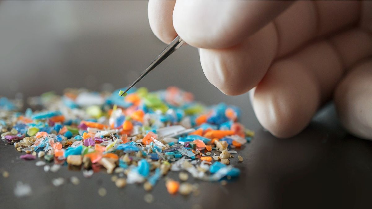 Mikroplastikler İnsan Beyninde Hızla Artıyor