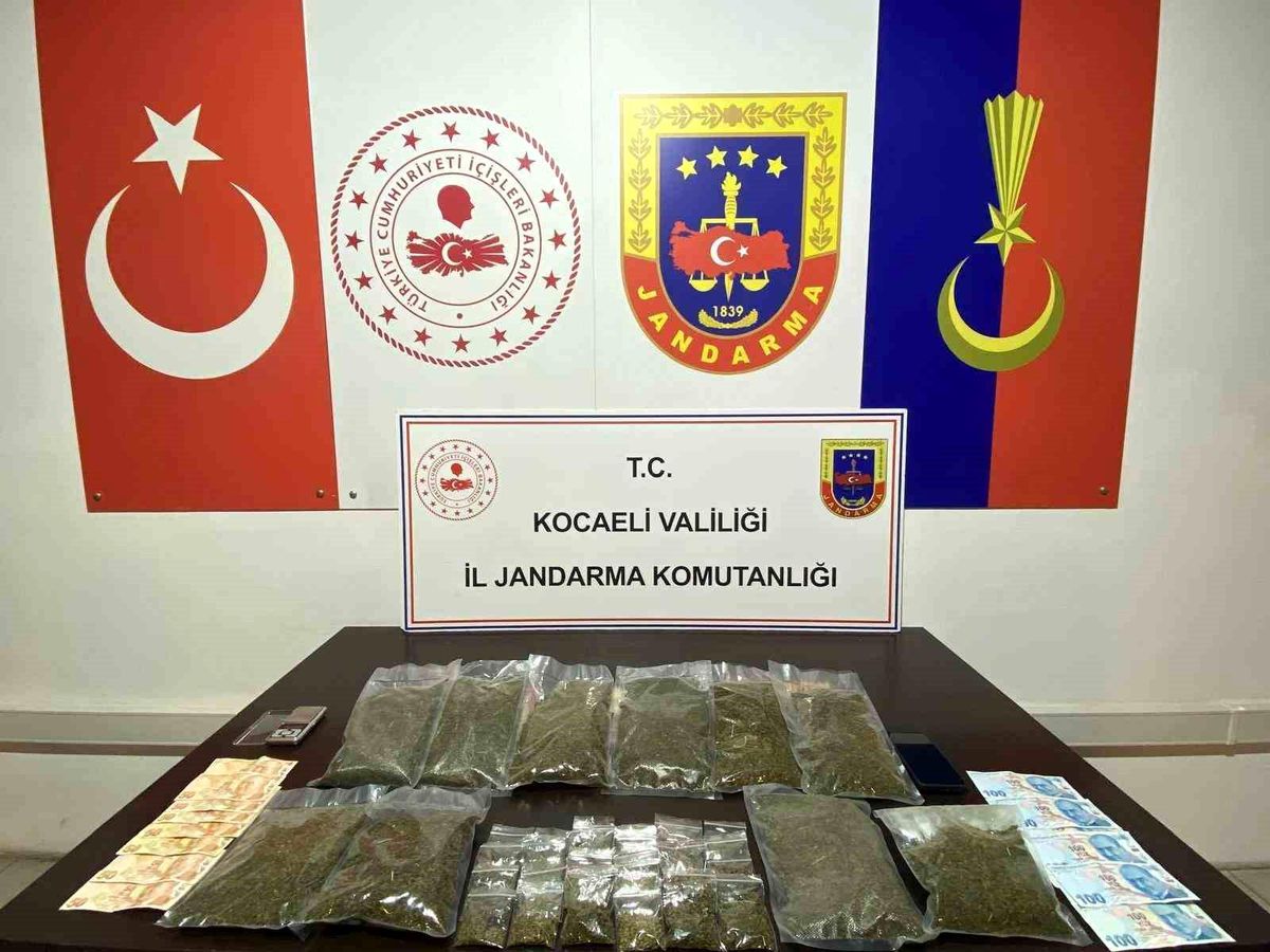 Darıca\'da 4 kg Bonzai Ele Geçirildi