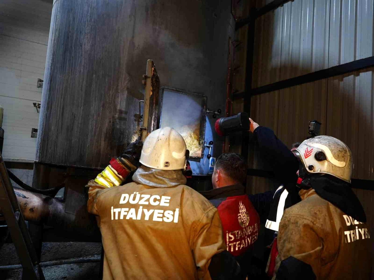Düzce\'de Kereste Fabrikasında Yangın