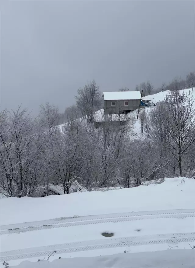 Marmara kar yağışı başladı, Meteoroloji 19 ili daha beyaz örtü için uyardı