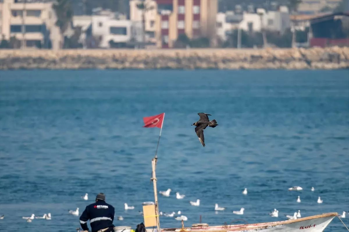 Mersin\'de Kuş Gözlem Etkinliği