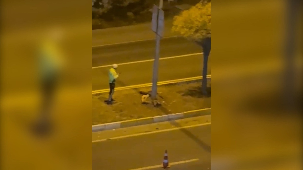 Şanlıurfa\'da Otomobilin Çarptığı Yaya Hayatını Kaybetti