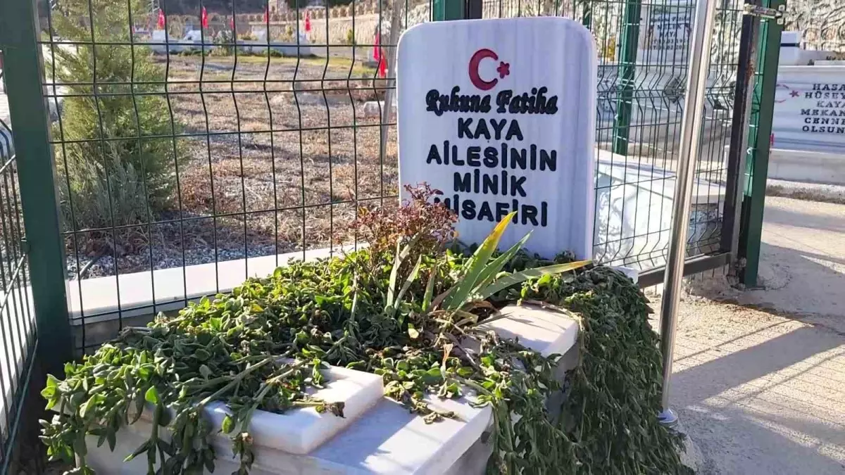 Aile mezarlığının minik misafiri