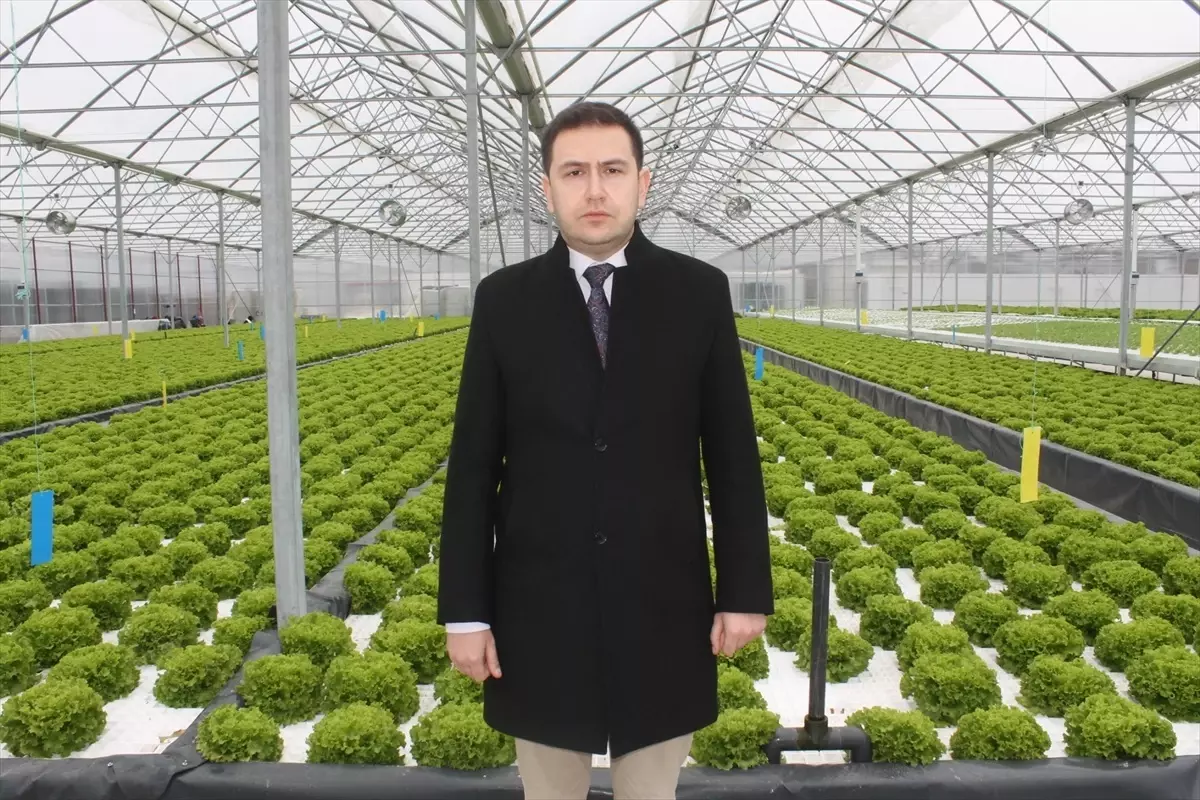 Bafra Sera OSB\'de Üretim Başladı