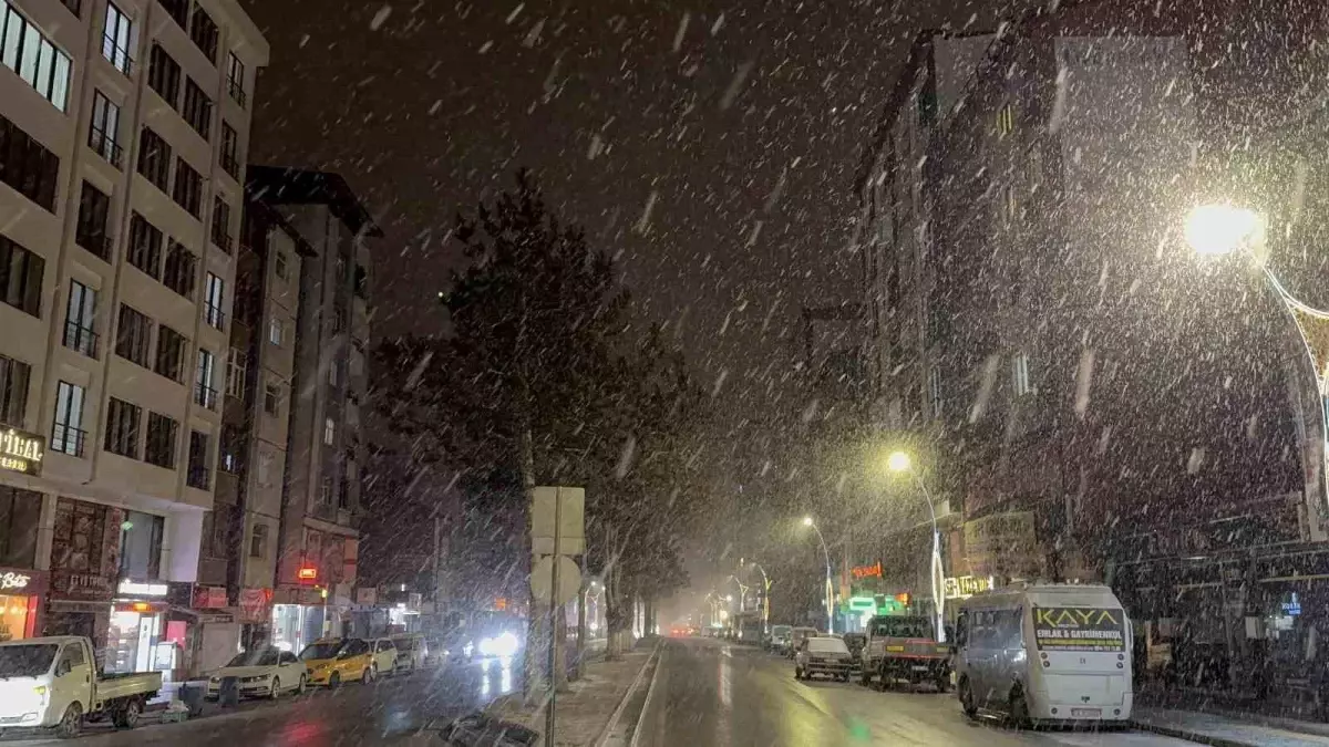 Tatvan\'da yoğun kar yağışı başladı