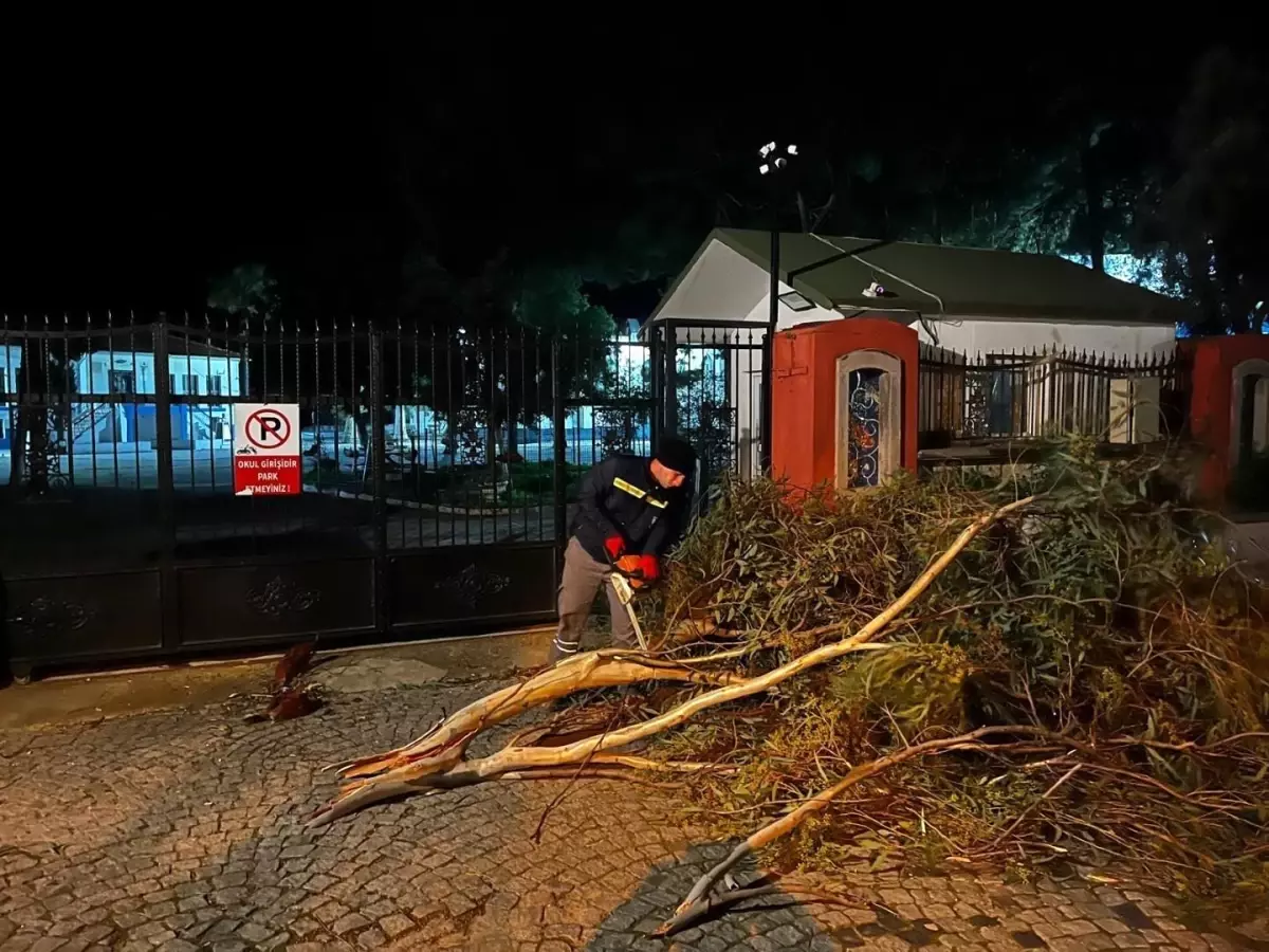 Bodrum Belediyesi Olumsuz Hava Koşullarına Karşı Tedbir Aldı