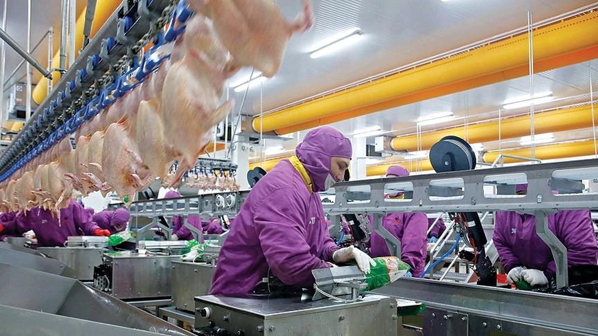 Türkiye\'nin İleri İşlenmiş Tavuk İhracatı AB\'ye Başlıyor