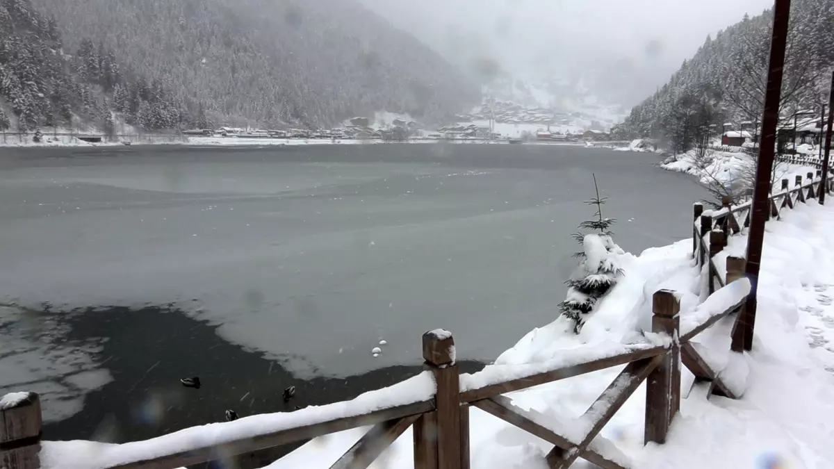 Uzungöl Beyaza Büründü: Kar Güzelliği Ziyaretçileri Ağırlıyor