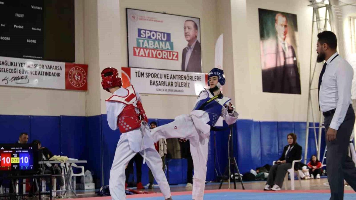 Elazığ\'da Gençler Taekwondo Müsabakaları Tamamlandı