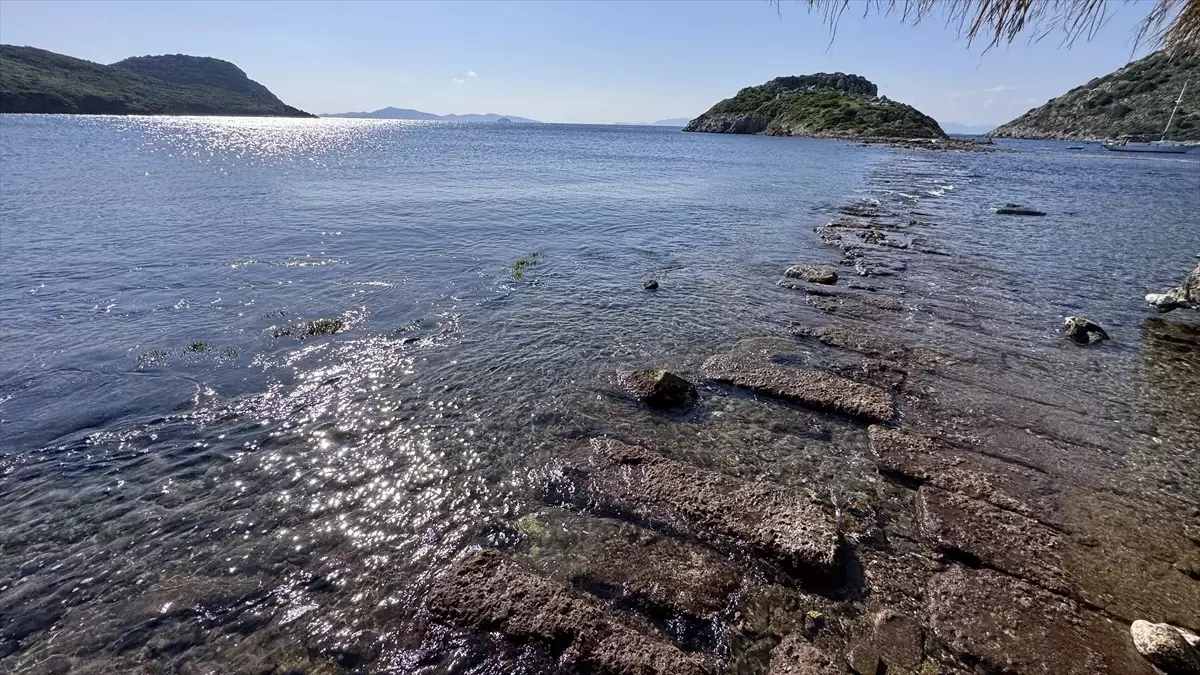 Bodrum\'da Tarihi Surlar Gün Yüzüne Çıktı