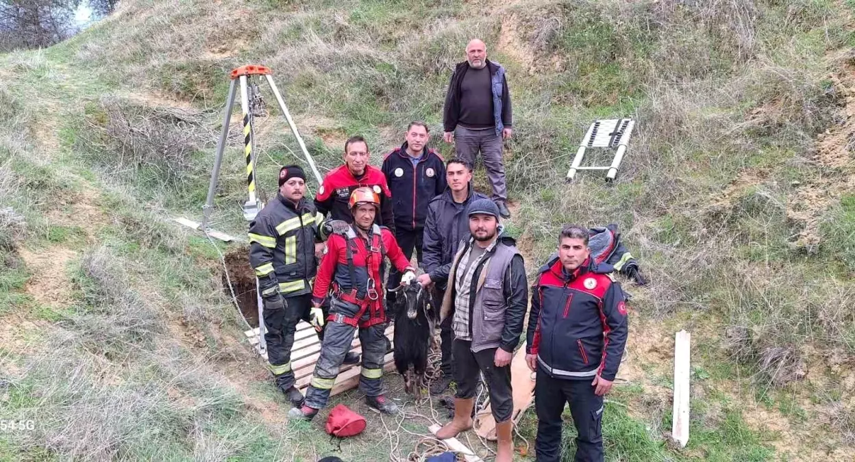 Kuyuya Düşen Keçi İtfaiye Ekipleri Tarafından Kurtarıldı