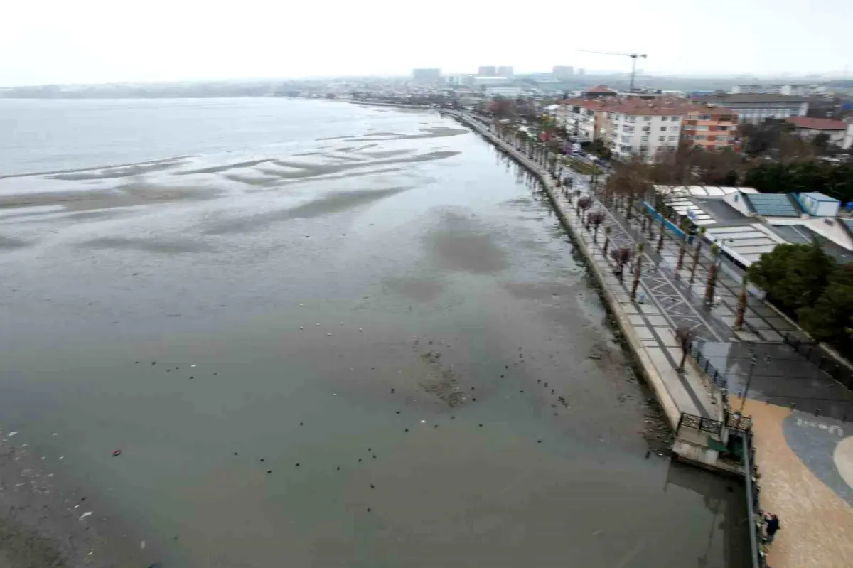 Silivri\'de Deniz Çekildi, Adacıklar Oluştu