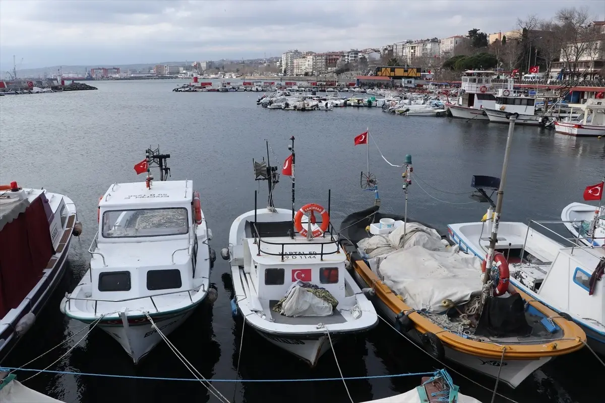 Tekirdağ Balıkçıları Poyrazdan Etkilendi