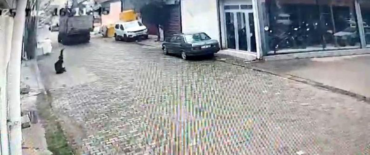 Aydın\'da Elektrik Telinden Kaza