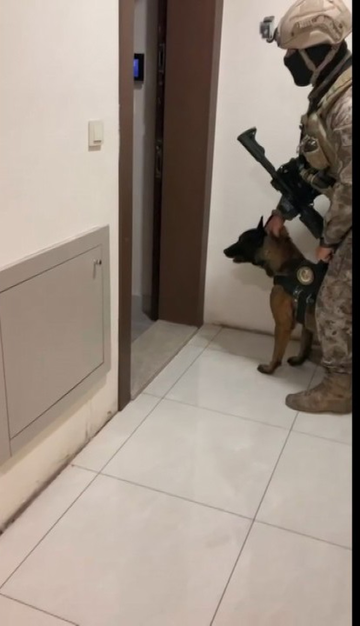 Firari Alper M. Özel Harekatla Yakalandı