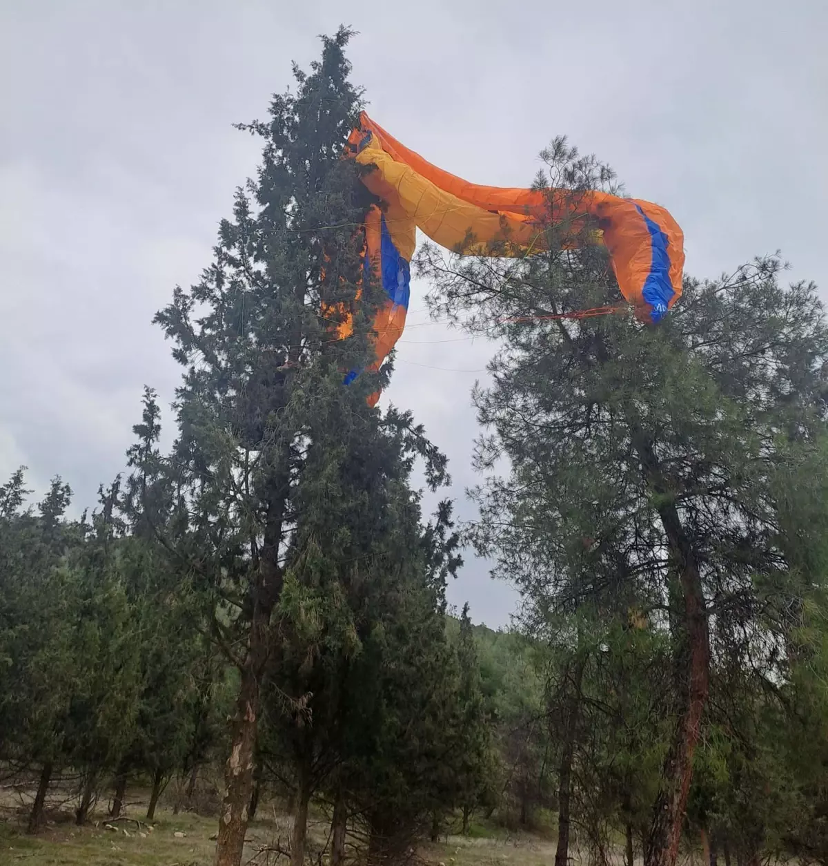 Pamukkale\'de Paraşütle Uçan Pilot Ağaçta Mahsur Kaldı