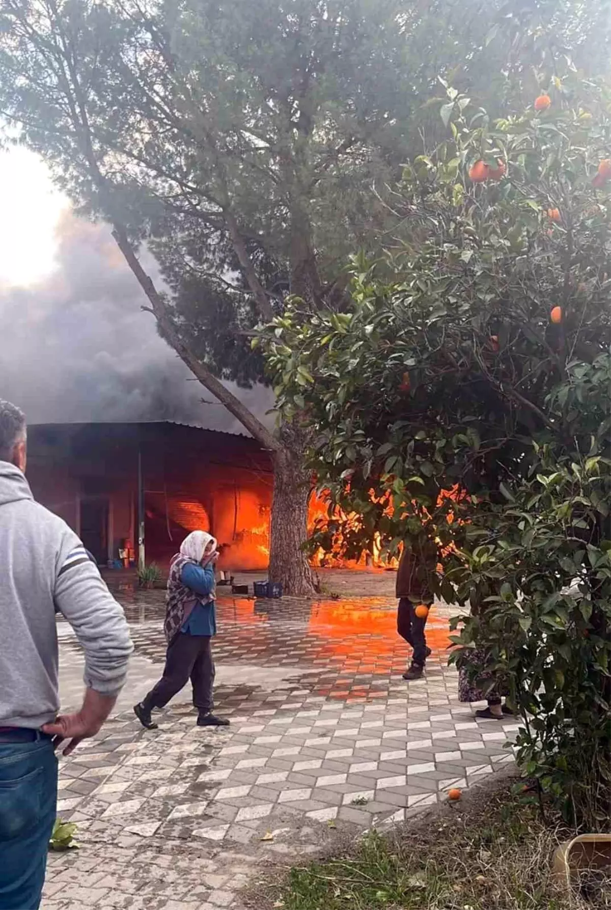 Köyceğiz\'de Güneş Panelinden Çıkan Yangın Arı Ürünleri Deposuna Sıçradı