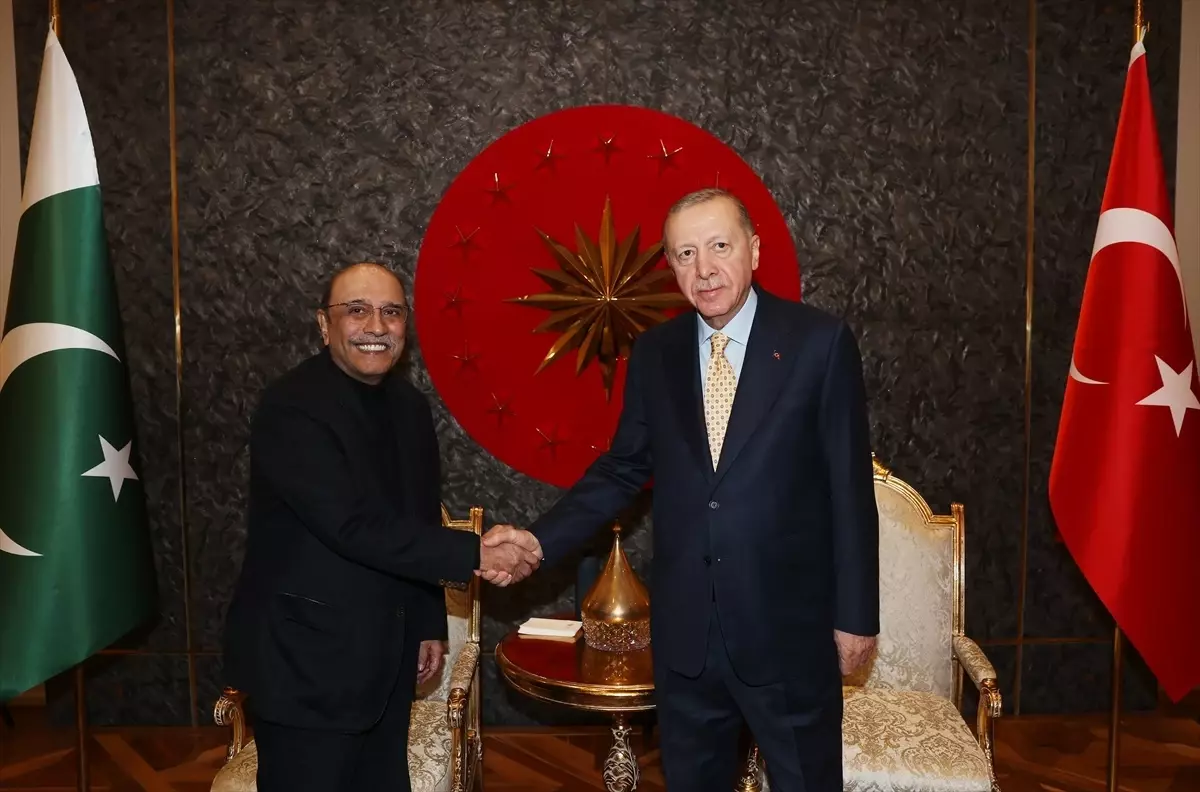 Cumhurbaşkanı Erdoğan, Pakistan Cumhurbaşkanı Zardari ile görüştü