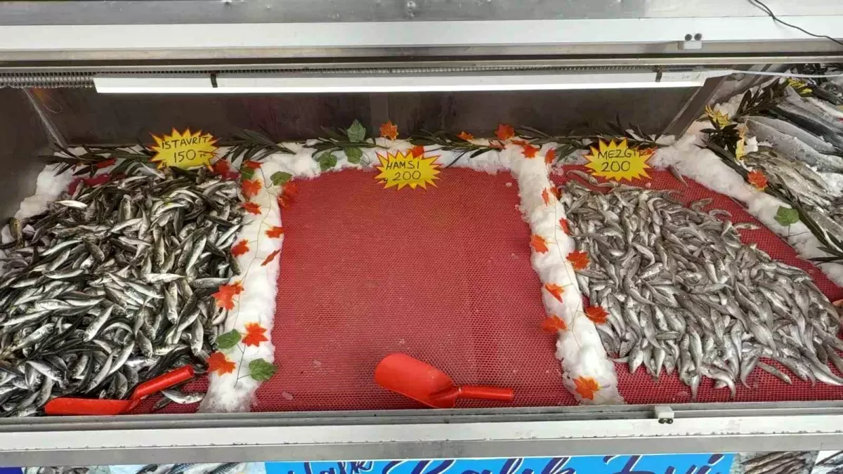 Kar Yağdı, Hamsi Beklendi ama Yok!