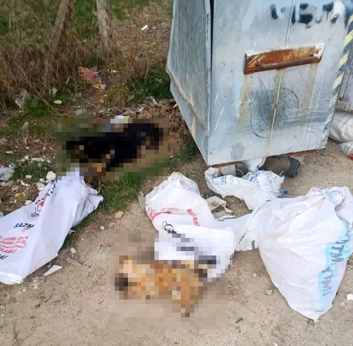 Kırklareli\'nde Hayvan Ölümleri Soruşturması