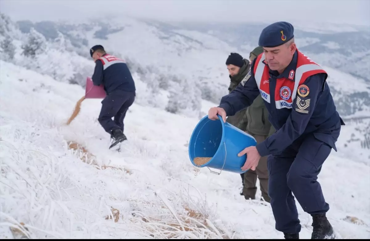 Yaban Hayvanlarına Yem Bıraktılar