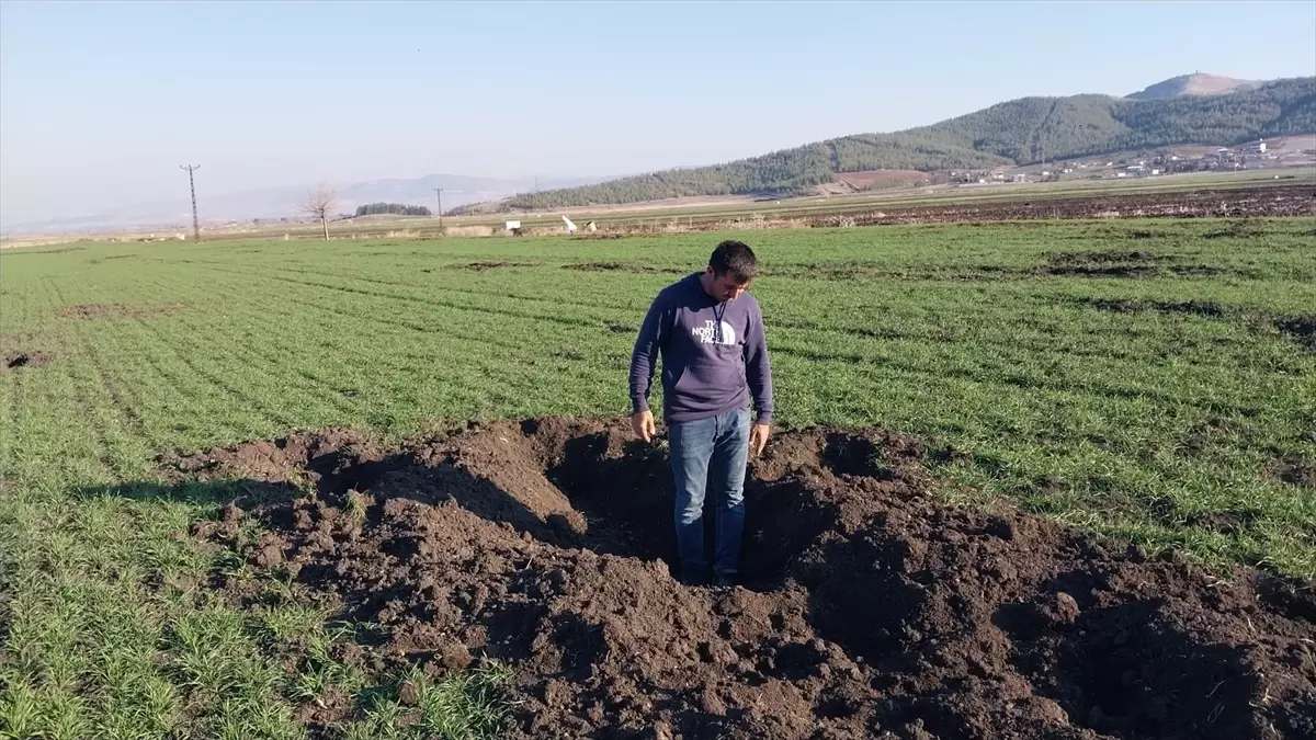 Çiftçiler Yaban Domuzlarına Karşı Nöbet Tutuyor