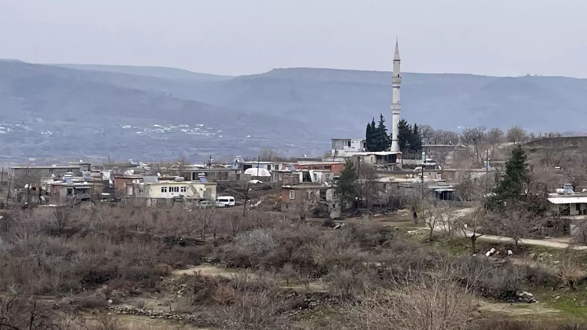 Siverek\'te Kuduz Köpek Saldırısı: 1 Kadın ve 2 Çocuk Yaralandı